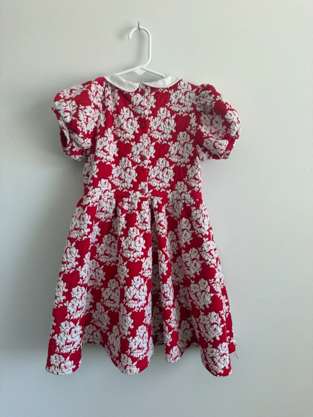 Janie and Jack Cherry Red and White Botanical Floral Collared Dress - 7